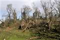 Owner ‘in shock’ after tornado batters Welsh farm