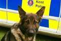 Man pulled from river and arrested after police dog and helicopter search