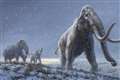 Climate change – not humans – started decline of ancient elephants, says study