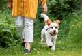 New rules could see dogs banned from play areas