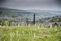 Government announces extra £3.9 million for tree planting projects