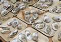 Oyster farm resumes harvesting amid probe into widespread sickness