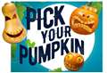 Pick your own pumpkin for Halloween