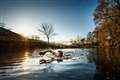 Swimmers brave icy daily dip to help end homelessness