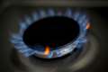 EDF Energy pays out £6 million after UK power market breach