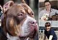 One every five days: Number of XL bullies seized and destroyed in Kent revealed