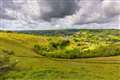 Herd of cattle used to protect environment in the Cotswolds