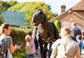 Kent attraction to put on dino-mite week of activities