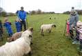 Charity farm writes to PM pleading for it to reopen