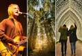 The 350-acre forest that's hosted Paul Weller, Sophie Ellis-Bexter and one million Christmas lights