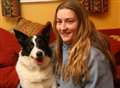 Border collie put masked raiders to flight