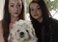 Owner's anger at cabbie after puppy run over