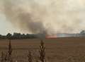 Firefighters battle blaze in corn field