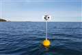 Googly-eyed scarecrow could prevent seabirds drowning in fishing nets – study