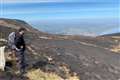 Cows could follow sheep up the Mourne Mountains to help fire regeneration work