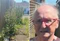 Angry villagers ‘feeling forgotten’ as weeds grow 3ft high