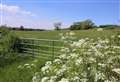 Housing plans on farmland set for debate