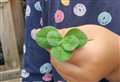 Girl, 4, finds ultra rare five-leaf clover