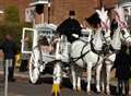 White horses for princess's funeral