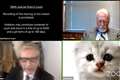 ‘Good laugh for the country’ – lawyer in Zoom cat video embraces internet fame