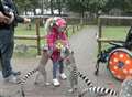 Lemurs bring smile to poorly Ffion's face