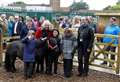 Ponies ready to move into school