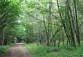 Villagers fear threat to carved up ancient woodland