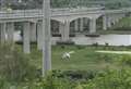 Body found near motorway bridge