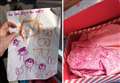 Child leaves 'distressing' note with box of dead puppies