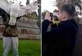 Sickening footage of teen posing with seagull ‘killed with catapult’