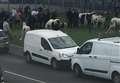 Travellers trade horses near play area