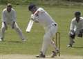 Bid to expand village cricket league