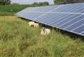 Another solar farm proposed for farmland