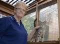 Happy homes have been found for two cats at Kingsdown Cat Sanctuary