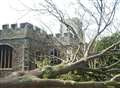 "Hand of God" fells church's giant oak