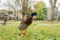 Viral sensation duck Long Boi missing from university campus