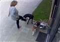 Woman filmed kicking puppy 'just lost it'