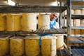 Stilton cheesemakers warn they risk going bust as sales plunge 30%