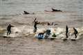 Surfers ride first five-star Severn Bore of 2024