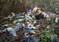 Litter-strewn laybys and verges 'hideous'