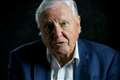 Attenborough calls for ‘respect’ for nature in wake of pandemic