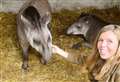 Boris and Carrie Johnson in birthday trip to animal park