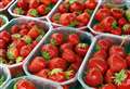Wimbledon fans to tuck into Kent strawberries