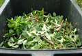 Garden waste charges 'all about the money'