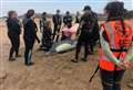 Rubber whales brought in for ‘mass stranding’ training