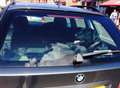 Owner condemned after dog left in hot car
