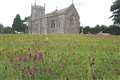 Call to reduce pesticides in countryside and towns to reverse insect decline