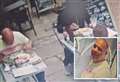 Café boss releases CCTV of dine-and-dash