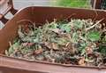 Another council suspends garden waste collections