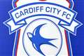 Cardiff City owner Vincent Tan in High Court dispute with former director